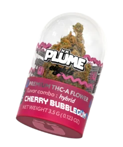 Plume Cherry Bubblegum
