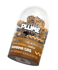 Plume Banana Gas
