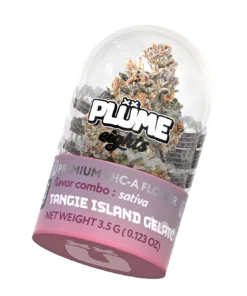 Tangie Island Gelato Weed