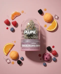 PLUME EIGHTS TANGIE ISLAND GELATO