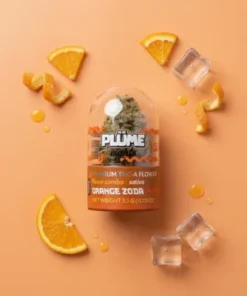 PLUME EIGHTS ORANGE ZODA