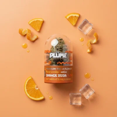 PLUME EIGHTS ORANGE ZODA PLUME EIGHTS ORANGE ZODA